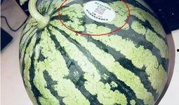 滕州网红吃瓜,揭秘网络红人的幕后真相